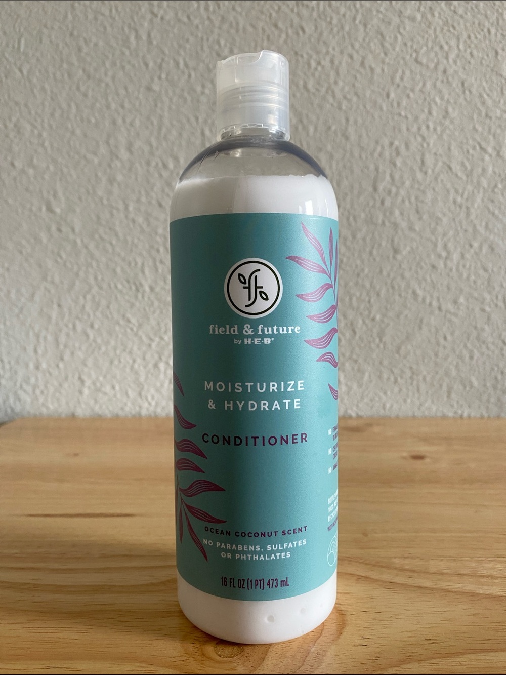 HEB Field & Future Moisturize & Hydrate Conditioner (Ocean Coconut Scent)